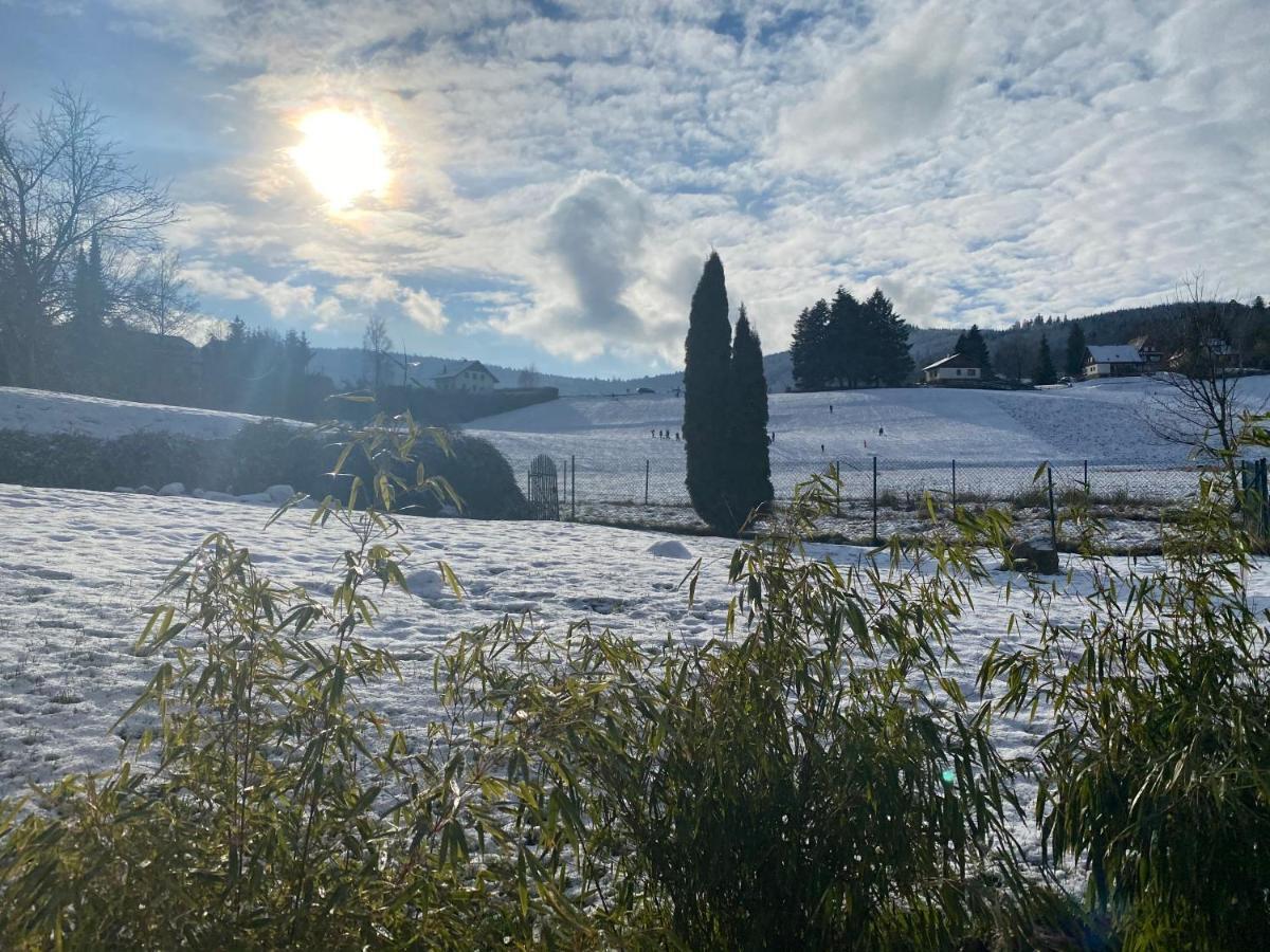 Gite Au Cours D'Eau Le Hohwald Luaran gambar