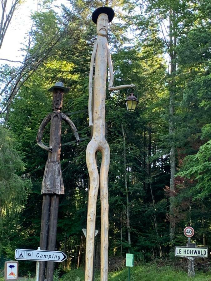 Gite Au Cours D'Eau Le Hohwald Luaran gambar