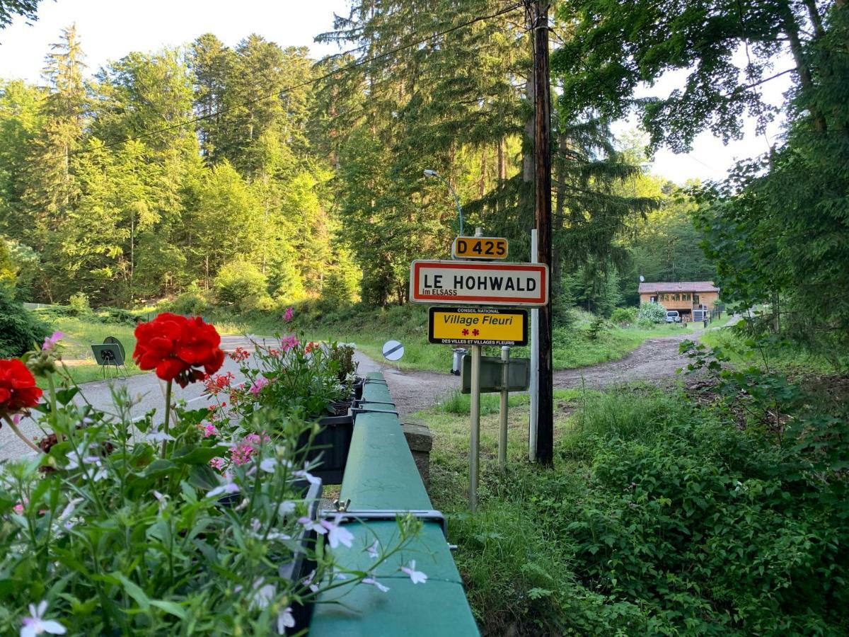 Gite Au Cours D'Eau Le Hohwald Luaran gambar